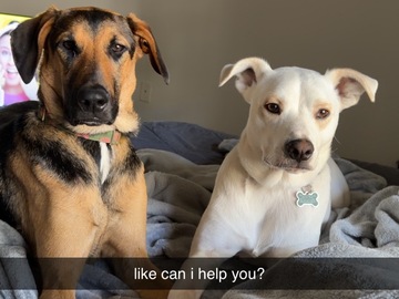   : Milo and Aspen