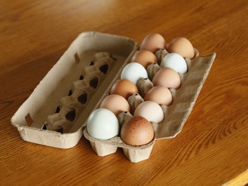 Selling with In-person Payment: Pasture-Raised, Multi-Colored Chicken Eggs