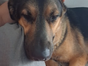   : Benji