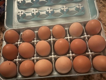 Selling with In-person Payment: Fresh Chicken Eggs