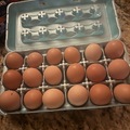 Selling with In-person Payment: Fresh Chicken Eggs