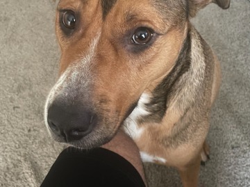   : Zoe