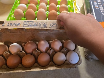 Selling with In-person Payment: Farm fresh eggs straight from the chicken 
