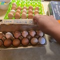 Selling with In-person Payment: Farm fresh eggs straight from the chicken 