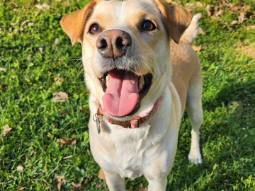   : Sophie