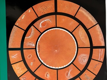 Selling with online payment: Optometry Posters- set of 5