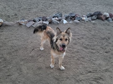   : Luna
