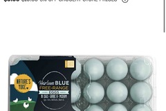 Selling with In-person Payment: Heirloom Eggs Blue