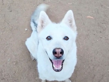   : Sasha