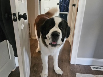   : Duke