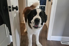   : Duke