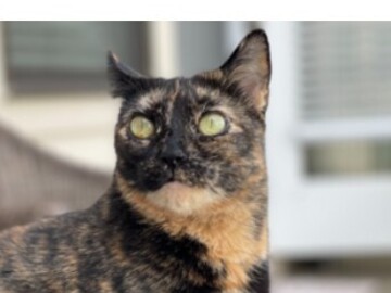   : Luna