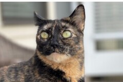   : Luna