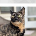   : Luna