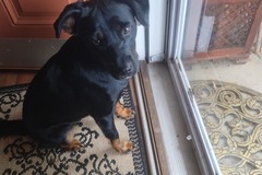   : Nala