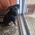   : Nala