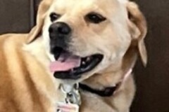   : Ridley Jane