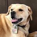   : Ridley Jane