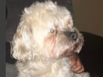   : Ben