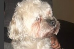   : Ben