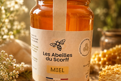 Les miels : Miel d'Eté 2026