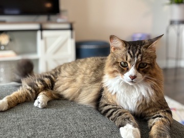   : Kiki