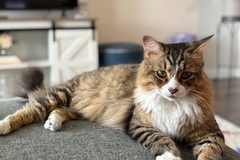   : Kiki