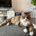   : Kiki