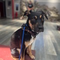   : Bella 
