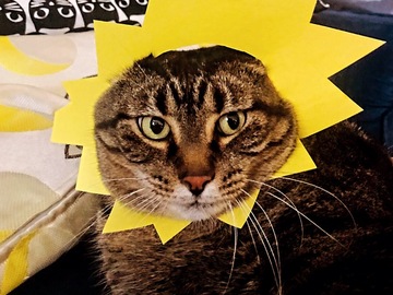   : Bibi