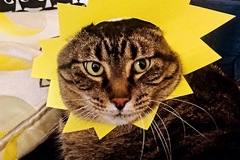   : Bibi
