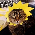   : Bibi