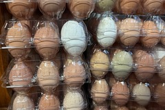 Selling with In-person Payment: Farm fresh chicken eggs 4dozen for $15