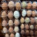 Selling with In-person Payment: Farm fresh chicken eggs 4dozen for $15
