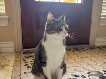   : Ollie