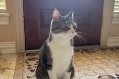   : Ollie