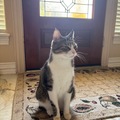   : Ollie