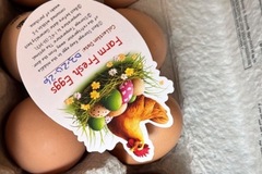 Selling with In-person Payment: Fresh Farm eggs 