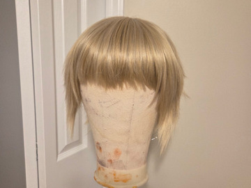 Selling with online payment: Aigis Wig