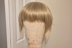 Selling with online payment: Aigis Wig