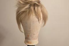 Selling with online payment: Kasou Prompto Argentum wig