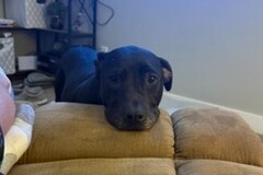   : Winnie