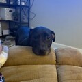   : Winnie