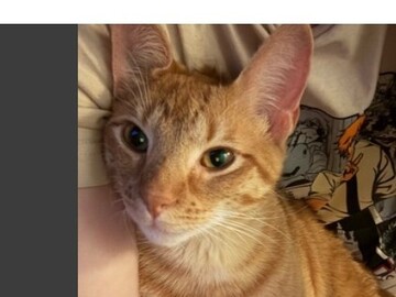   : Charlie