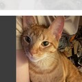   : Charlie