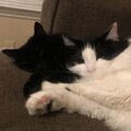   : Midas and Aurora
