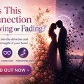 Selling: ❤️ Is This Connection Growing or Fading?