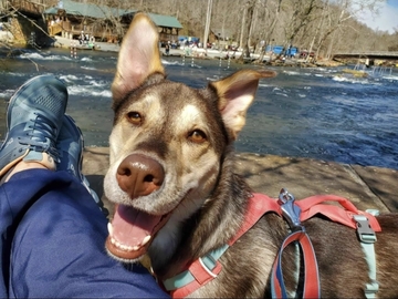   : Oakley