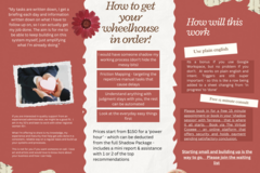 VA Service Offering: Shadow Package - What Are Your 3 Biggest Administrative Headaches