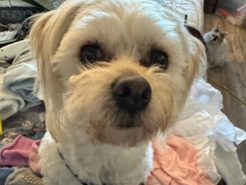   : Winnie
